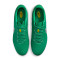 Scarpe Nike Tiempo Legend 10 Academy FG