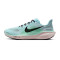Scarpe Nike Pegasus 41