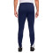 Pantaloni  Nike Tottenham Hotspur FC Training 2025-2026