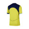 Maglia Nike Tottenham Hotspur FC Third Authentic 2025-2026