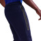 Pantaloni  Nike Fc Barcelona Fanswear 2025-2026
