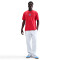 Maglietta Nike PSG Fanswear 2025-2026