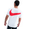 Maglietta Nike PSG Fanswear 2025-2026