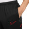 Pantaloni  Nike Academy 25