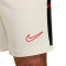 Pantaloncini Nike Academy 25