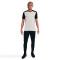 Maglietta Nike Academy 25