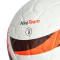 Pallone Nike Academy Plus
