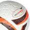 Pallone Nike Academy Plus