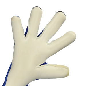 PALMO-1