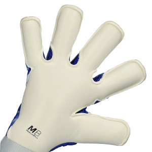 PALMO-1