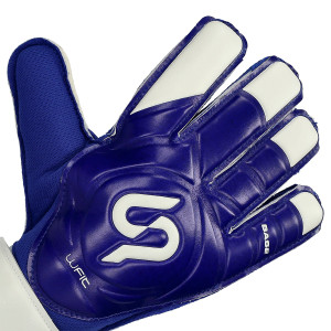 DORSO-2