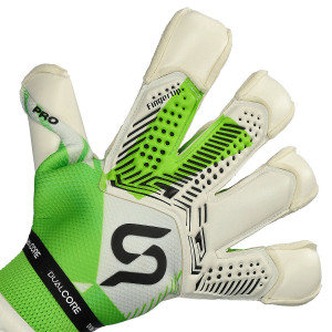DORSO-2