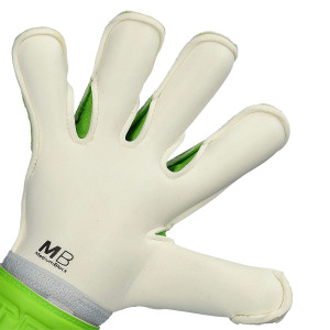 PALMO-1