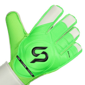 DORSO-2