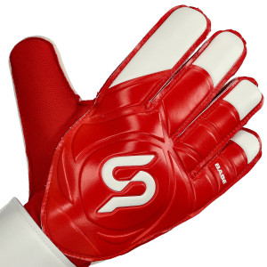 DORSO-2