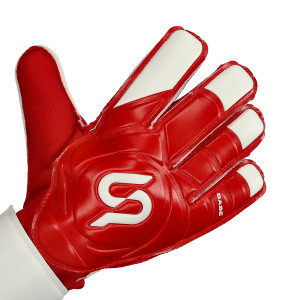 DORSO-2
