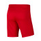 Pantaloncini Nike Park III Knit FC Milanese 1902