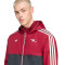 Giubbotto adidas Arsenal Fc Icons Fanswear 2025-2026