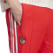 Pantaloni  adidas Slb Benfica Fanswear 2025-2026