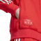 Giacca adidas Slb Benfica Fanswear 2025-2026