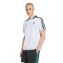 Liverpool Fc Icons Fanswear 2025-2026-White-Sea Green
