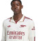 Maglia adidas Arsenal Fc Third M/L 2025-2026