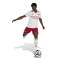 Pantaloncini adidas Arsenal FC Third 2025-2026
