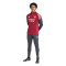 Pantaloni  adidas Arsenal Fc Training 2025-2026