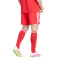 Pantaloncini adidas Fc Bayern Third 2025-2026