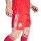 Pantaloncini adidas Fc Bayern Third 2025-2026
