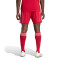 Pantaloncini adidas Liverpool Fc Home 2025-2026