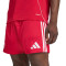Pantaloncini adidas Liverpool Fc Home 2025-2026