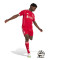 Pantaloncini adidas Liverpool Fc Home 2025-2026