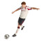 Maglia adidas Liverpool Fc Away Authentic 2025-2026