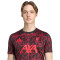 Maglia adidas Liverpool Fc Pre-Match 2025-2026