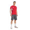 Maglietta adidas Liverpool Fc Us Pack Fanswear 2025-2026