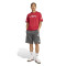 Maglietta adidas Liverpool Fc Us Pack Fanswear 2025-2026