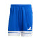 Pantaloncini adidas Squadra 25 II