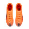 Scarpe Puma Ultra 6 Pro FG/AG