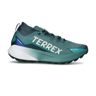 Scarpe Terrex Agravic Gore-Tex