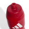 Borraccia adidas Liverpool Fc 2025-2026 750 ml