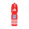 Borraccia adidas Fc Bayern 2025-2026