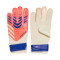 Guanti adidas Predator Training