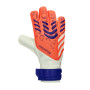 Predator Training-Signal coral-White-Lucid blue