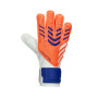Predator Training da Bambino-Signal coral-White-Lucid blue