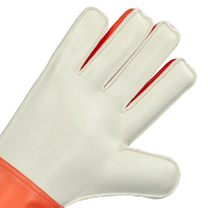 PALMO-1