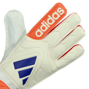 DORSO-2