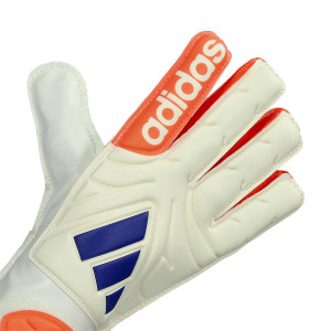 DORSO-2