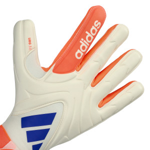 DORSO-2