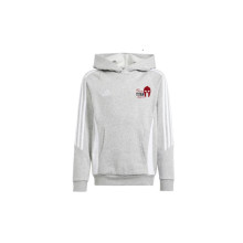 Felpa Con Capucha Tiro 24 Cotton Boxeo Titan Combat Medium Grey Heather-White